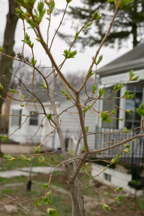 Other - 401 Gardners Row, Appleton, WI 54915 photo 5 of 5