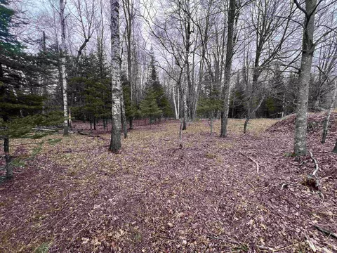Nejedlo Road, Wausaukee, WI 54177