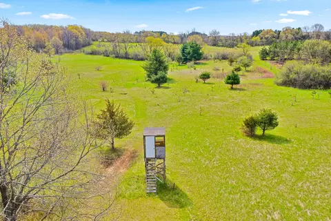 Other - w7995 Apache Drive, Wild Rose, WI 54984 photo 8 of 12