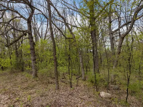 morey drive, Waupaca, WI 54981