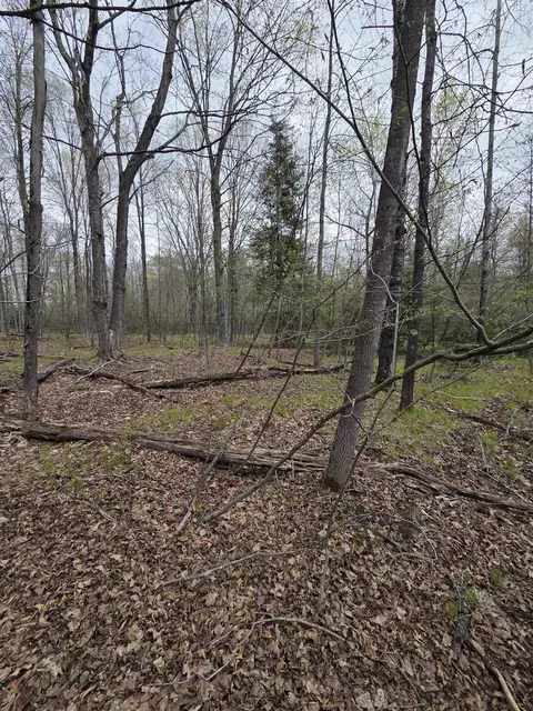 Chapin Road, Wausaukee, WI 54177