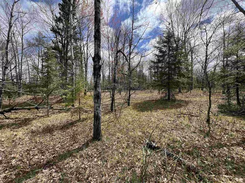 nejedlo road, Wausaukee, WI 54177