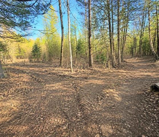 12 5 Rd, Wallace, MI 49893