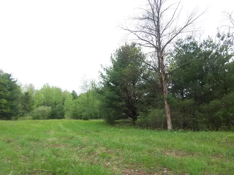 County Road S, Sobieski, WI 54171