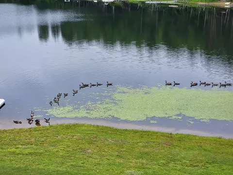 View/Area - n8772 Beauleau Lake Lane, Gresham, WI 54128 photo 9 of 9
