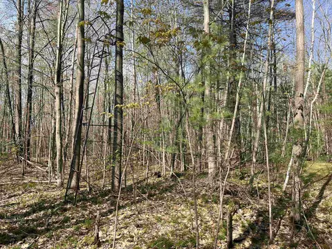 Hwy 141, Abrams, WI 54101 photo 7