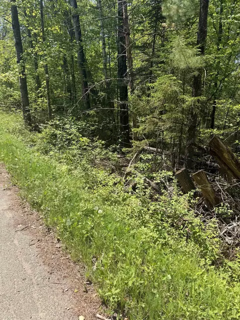 lower dam road, Mountain, WI 54149