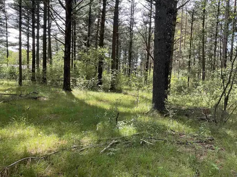 deer lane, Wisconsin Rapids, WI 54494