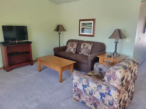 Living - 2022 Wild Eagle Ln #234, Eagle River, WI 54521 photo 2 of 2