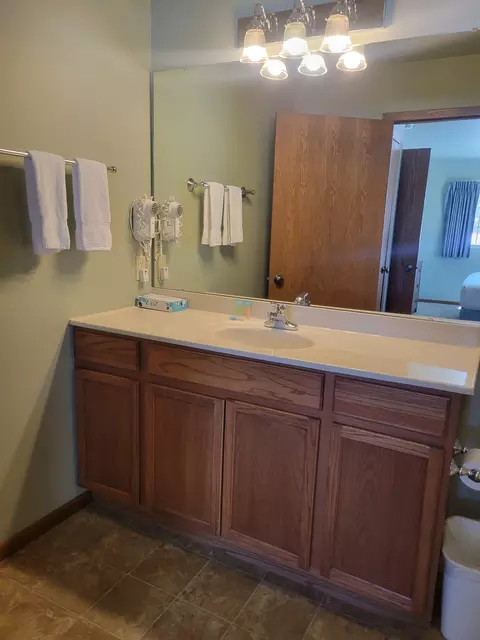 Bath - 2022 Wild Eagle Ln #234, Eagle River, WI 54521 photo 2 of 2