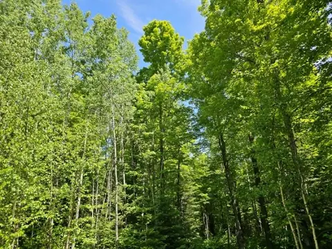 W Herzog Road, Iron Mountain, MI 49801