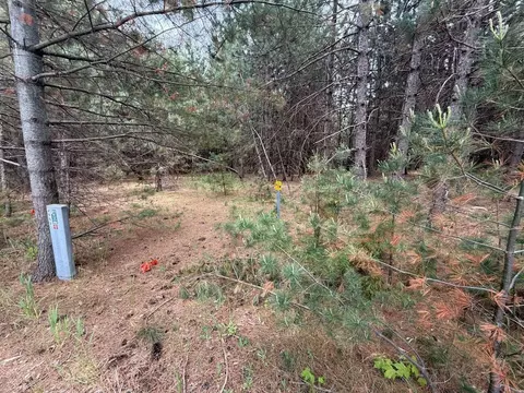 Other - 1170 Overlook Dr, Eagle River, WI 54521 photo 9 of 9