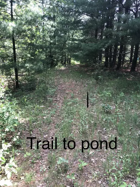 County Rd E, Neshkoro, WI 54960