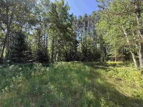 Exterior - n6392 Blueberry Road, Gresham, WI 54128 photo 8 of 8