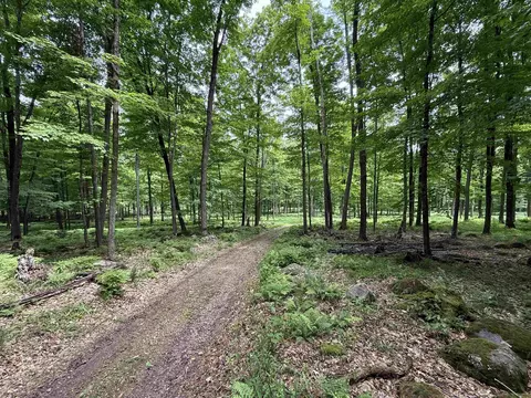 n7794 Kolpack Lane, Bowler, WI 54416