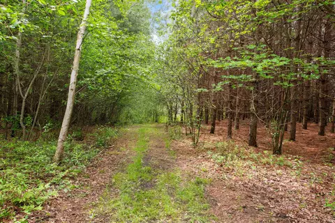 Hale School Road, Peshtigo, WI 54157