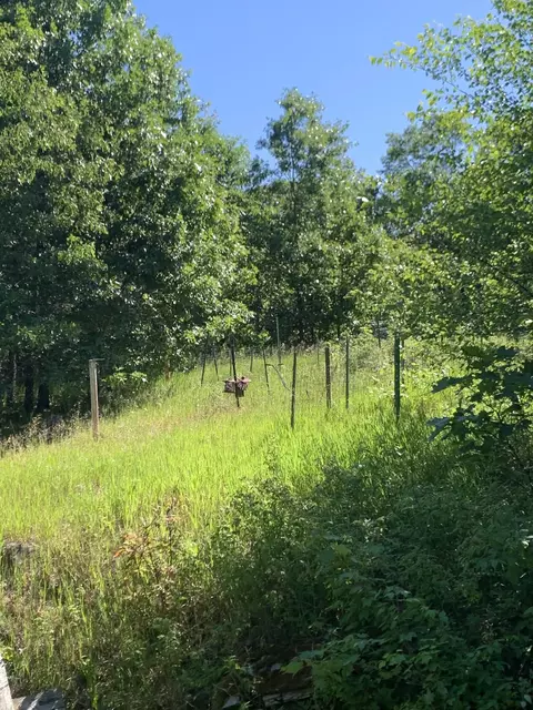 Exterior - w12226 Bow String Drive, Hancock, WI 54943 photo 7 of 7
