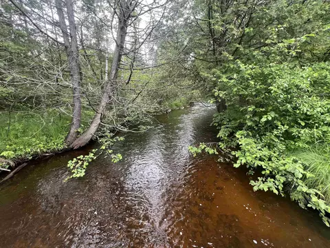 bielak road, Wausaukee, WI 54177