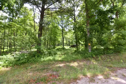 County Road U, Weyauwega, WI 54983