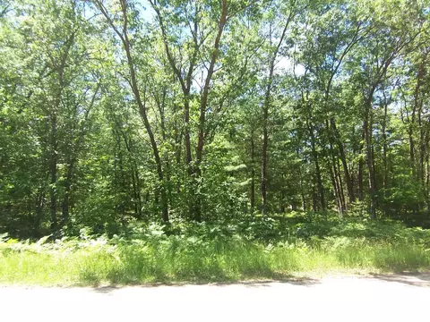 ann court, Shawano, WI 54166