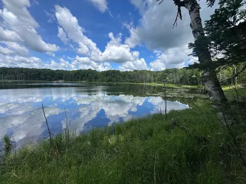 w13301 Blue Heron Lane, Athelstane, WI 54104