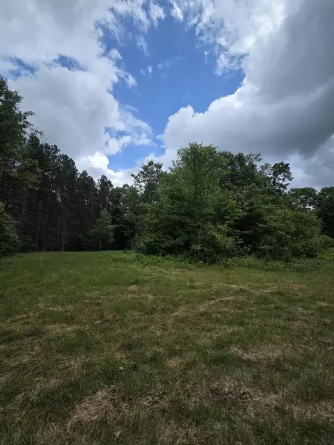 Tower Road, Athelstane, WI 54104