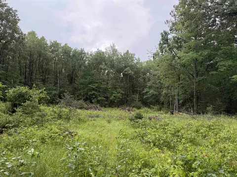 w1561 Hawks Nest Trail #62, Keshena, WI 54135