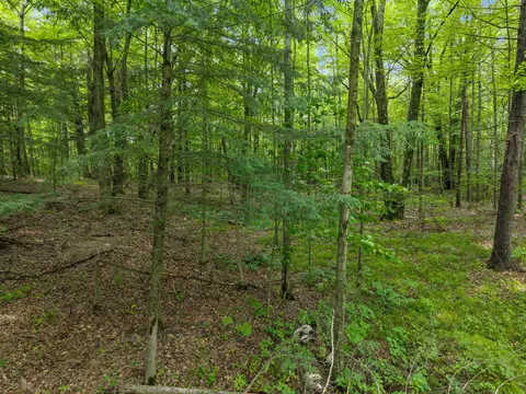 Island Lake Lane, Gresham, WI 54128 photo 5