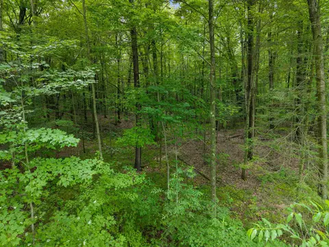 Island Lake Lane, Gresham, WI 54128 photo 7
