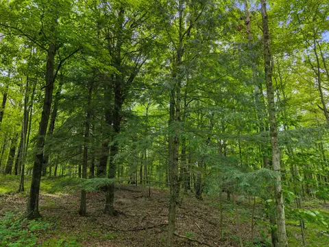Island Lake Lane, Gresham, WI 54128 photo 6