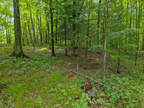 Island Lake Lane, Gresham, WI 54128 photo 2