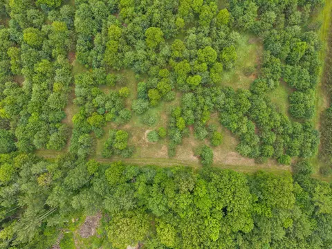 Island Lake Lane, Gresham, WI 54128 photo 10