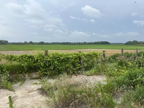 Other - w2337 County Road East, Cecil, WI 54111 photo 3 of 6