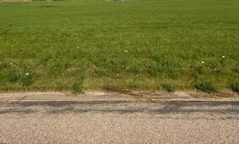 white tail drive, Fremont, WI 54940