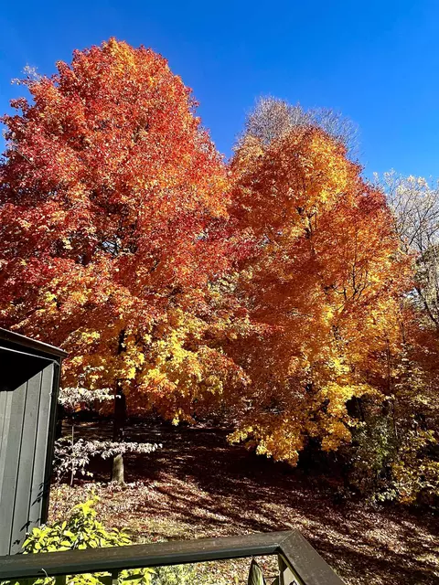 Other - w3895 Highview Drive, Appleton, WI 54913 photo 11 of 17