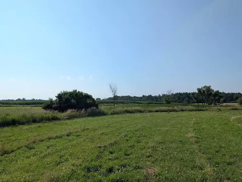 alp drive, Pine River, WI 54965 photo 14