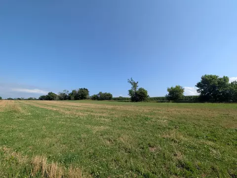alp drive, Pine River, WI 54965 photo 13