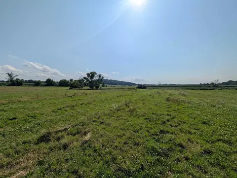 alp drive, Pine River, WI 54965 photo 18