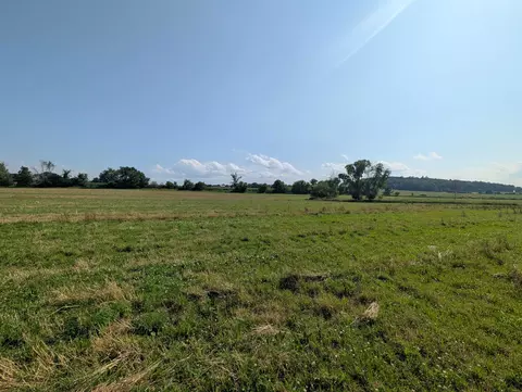 alp drive, Pine River, WI 54965 photo 19