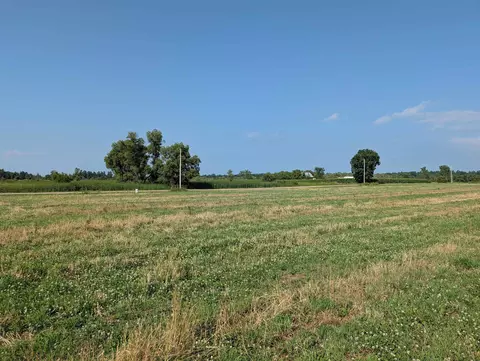 alp drive, Pine River, WI 54965 photo 17