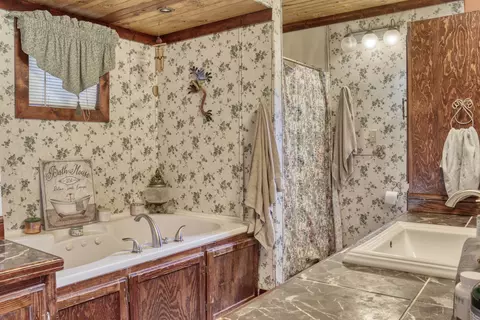 Bath - 1013 N Linwood Ave, Appleton, WI 54914 photo 1 of 1