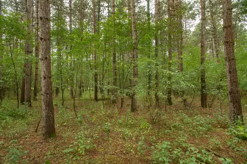 deer path, Hancock, WI 54943 photo 19