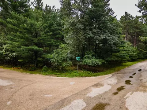 deer path, Hancock, WI 54943 photo 5