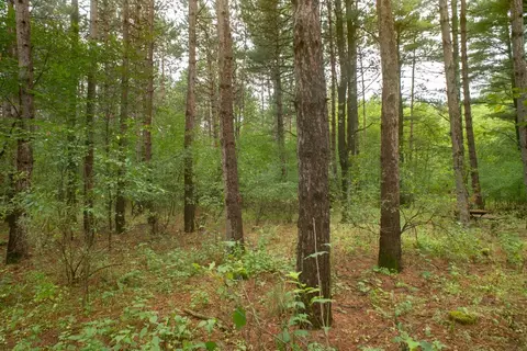 deer path, Hancock, WI 54943 photo 20