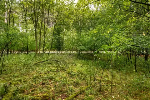 deer path, Hancock, WI 54943 photo 15