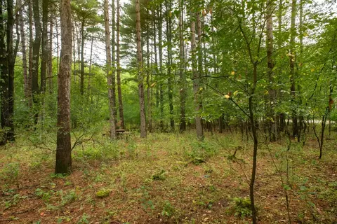 deer path, Hancock, WI 54943 photo 21