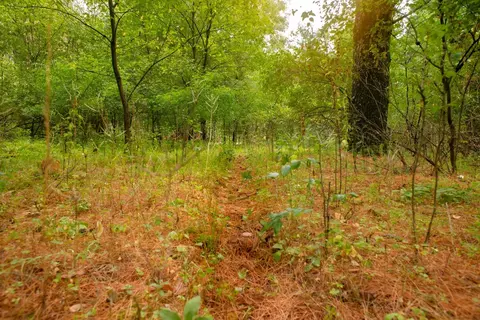deer path, Hancock, WI 54943 photo 24