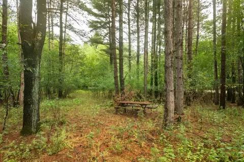 deer path, Hancock, WI 54943 photo 18