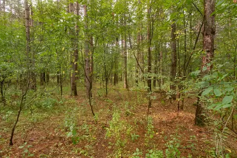 deer path, Hancock, WI 54943 photo 17