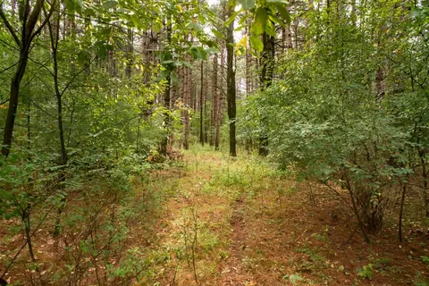 deer path, Hancock, WI 54943 photo 23